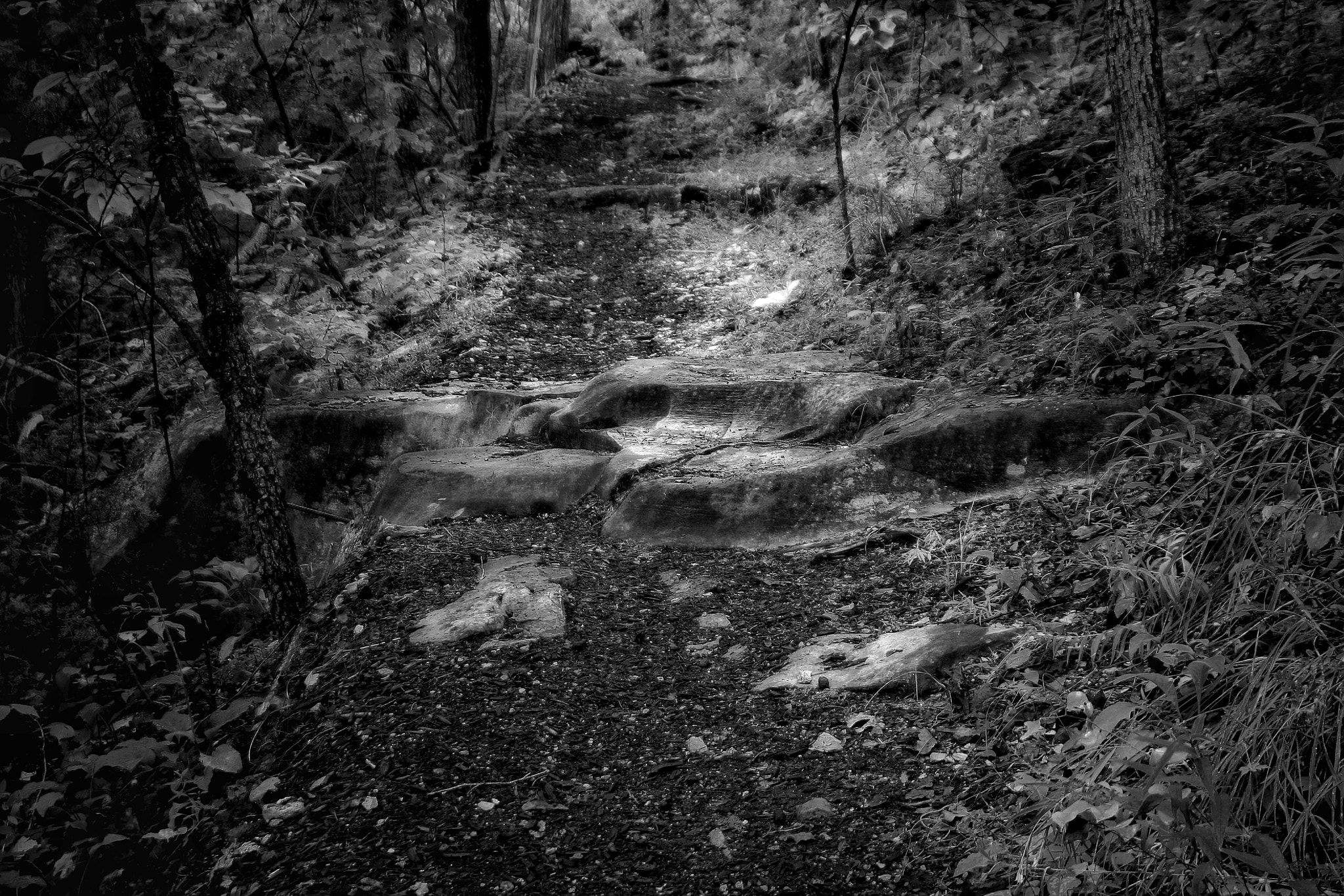 Tamron AF 28-200mm F3.8-5.6 XR Di Aspherical (IF) Macro sample photo. Wilderness trail late fall photography