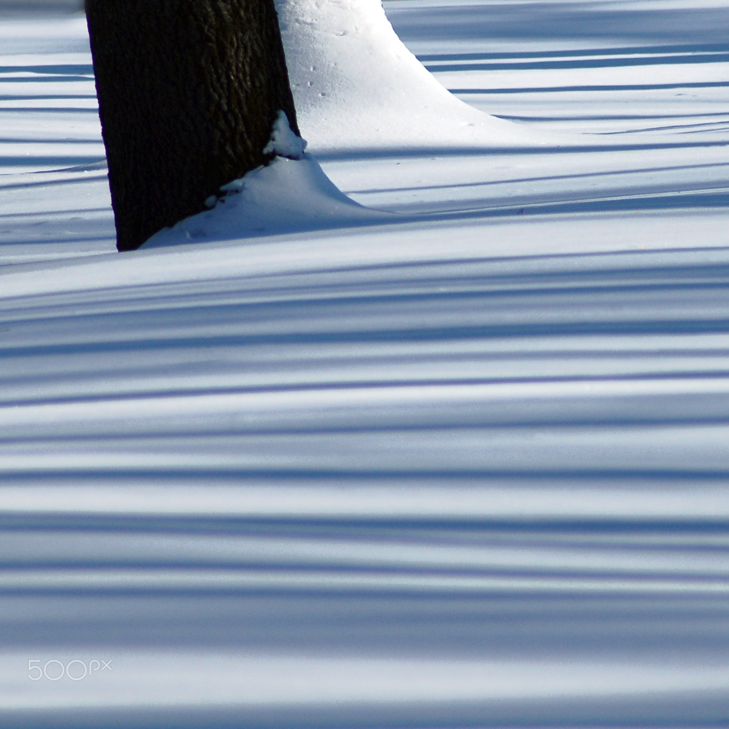 Nikon D50 sample photo. Blue 2 photography