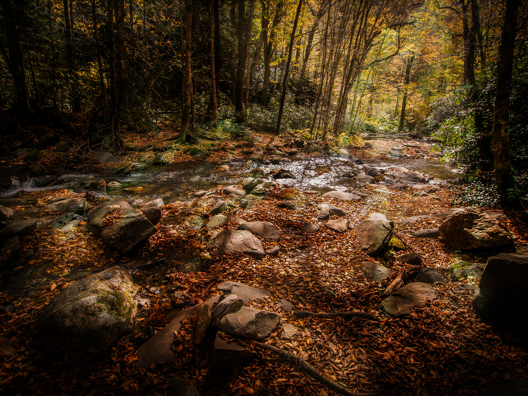 Olympus OM-D E-M5 + OLYMPUS M.9-18mm F4.0-5.6 sample photo. Solitude photography