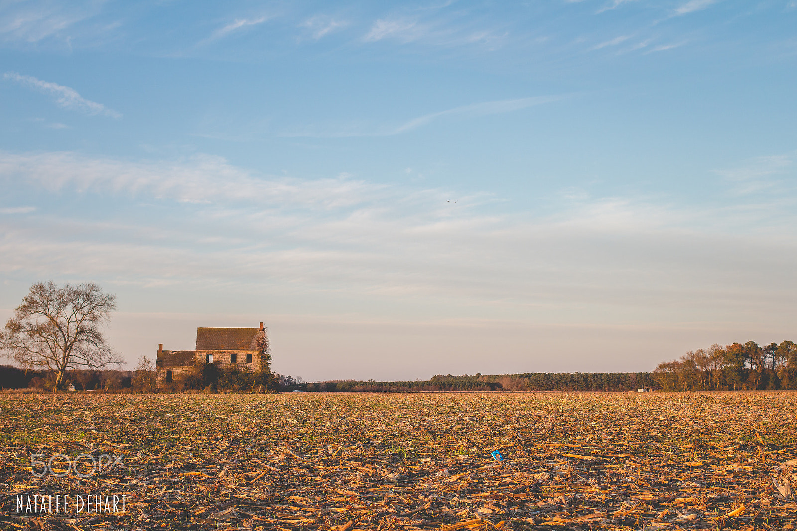 Canon EOS M + Canon EF 35mm F2 sample photo. Disappearing eastern shore delmarva photography