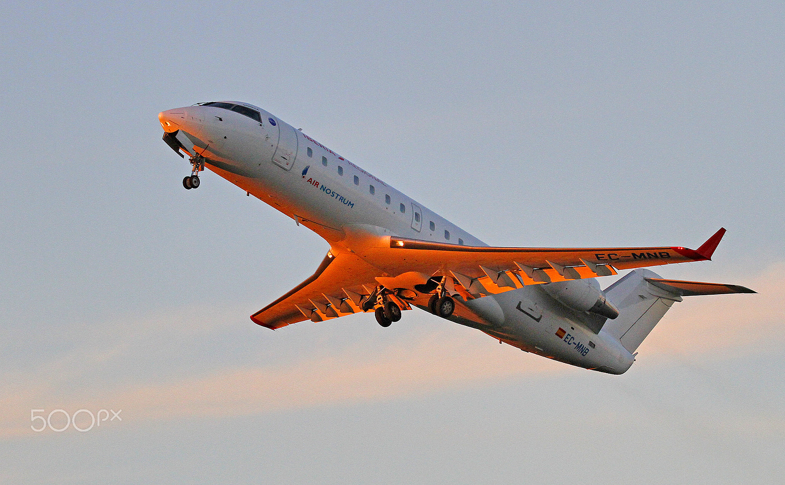 Sigma 150-600mm F5-6.3 DG OS HSM | C sample photo. Taking off towards the sunset photography