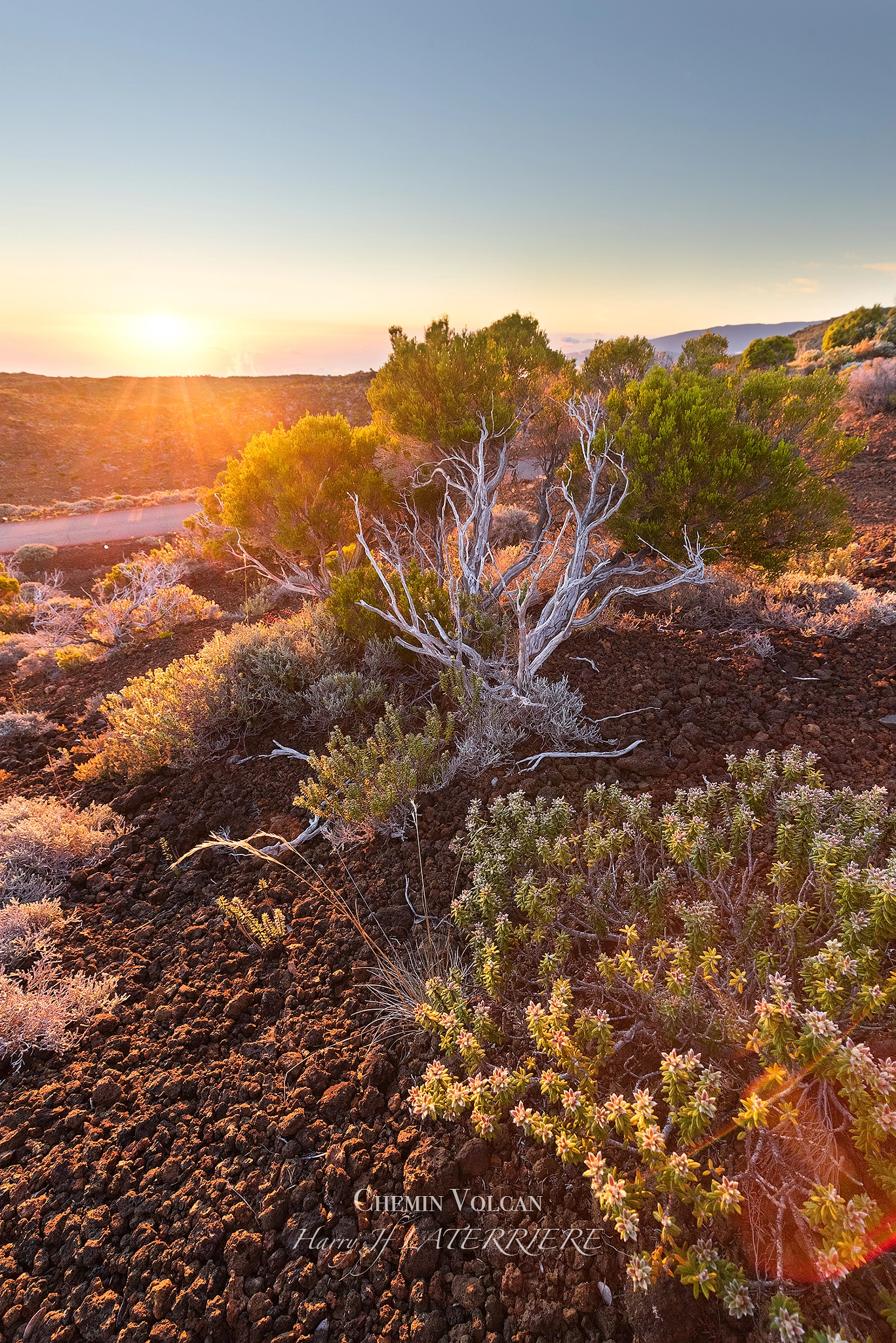 Sony a7R + Sony 70-400mm F4-5.6 G SSM sample photo. Chemin volcan photography