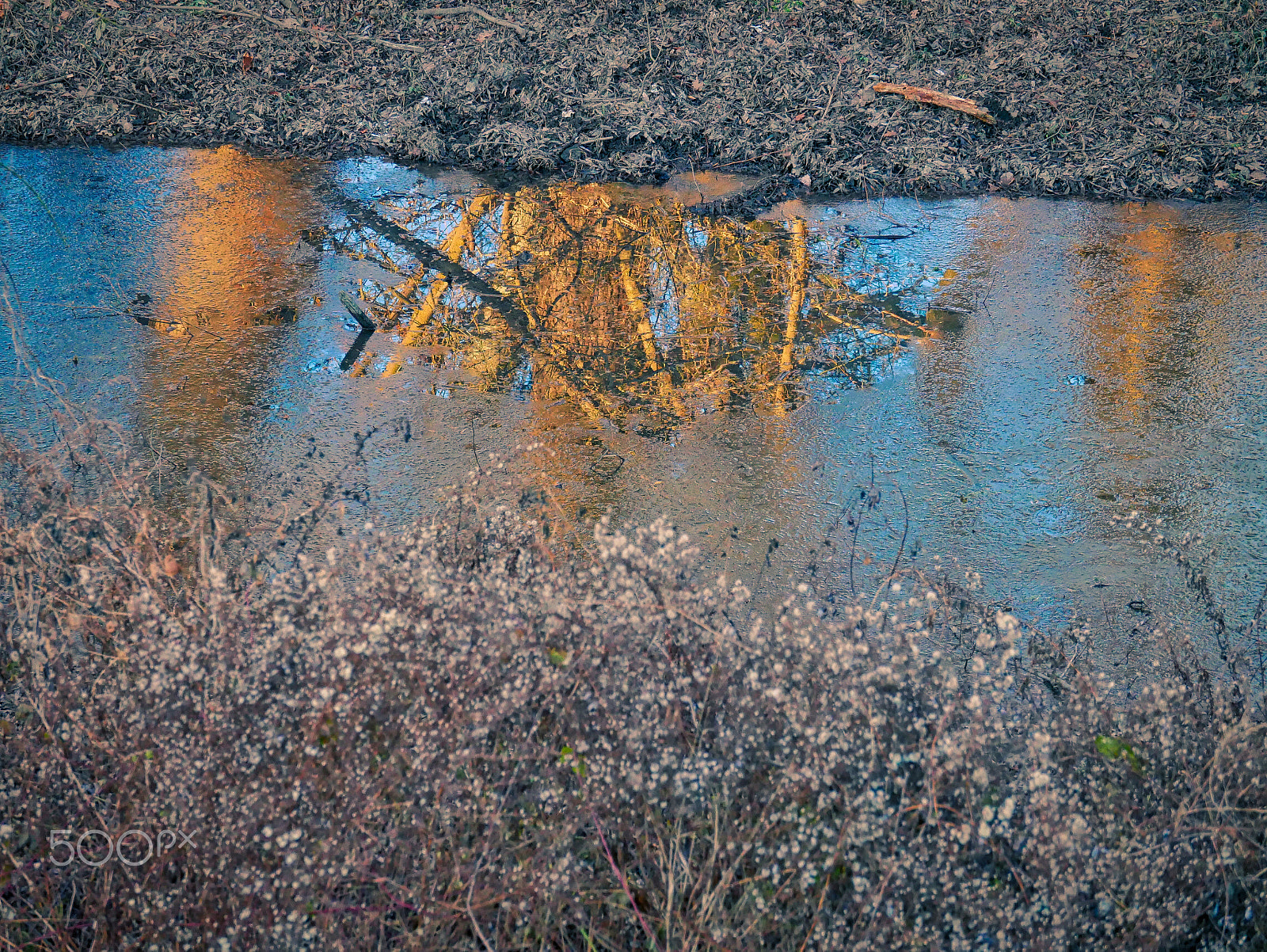 LUMIX G VARIO 35-100/F4.0-5.6 sample photo. Frozen mirror photography