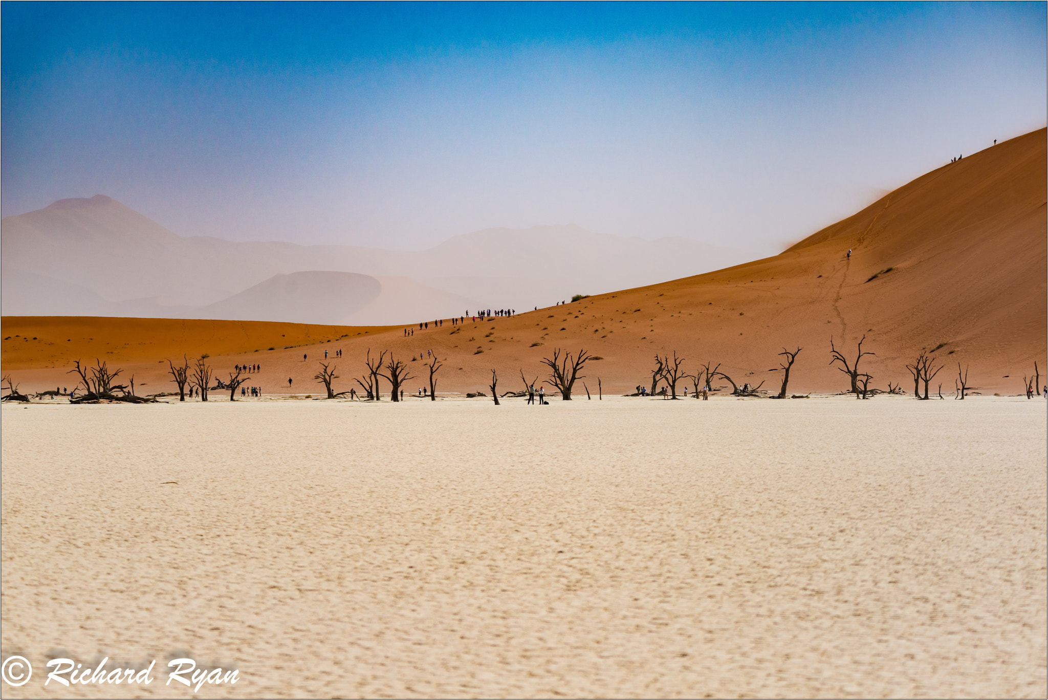 Nikon D800 sample photo. Dead tree valley -soussusvlei photography