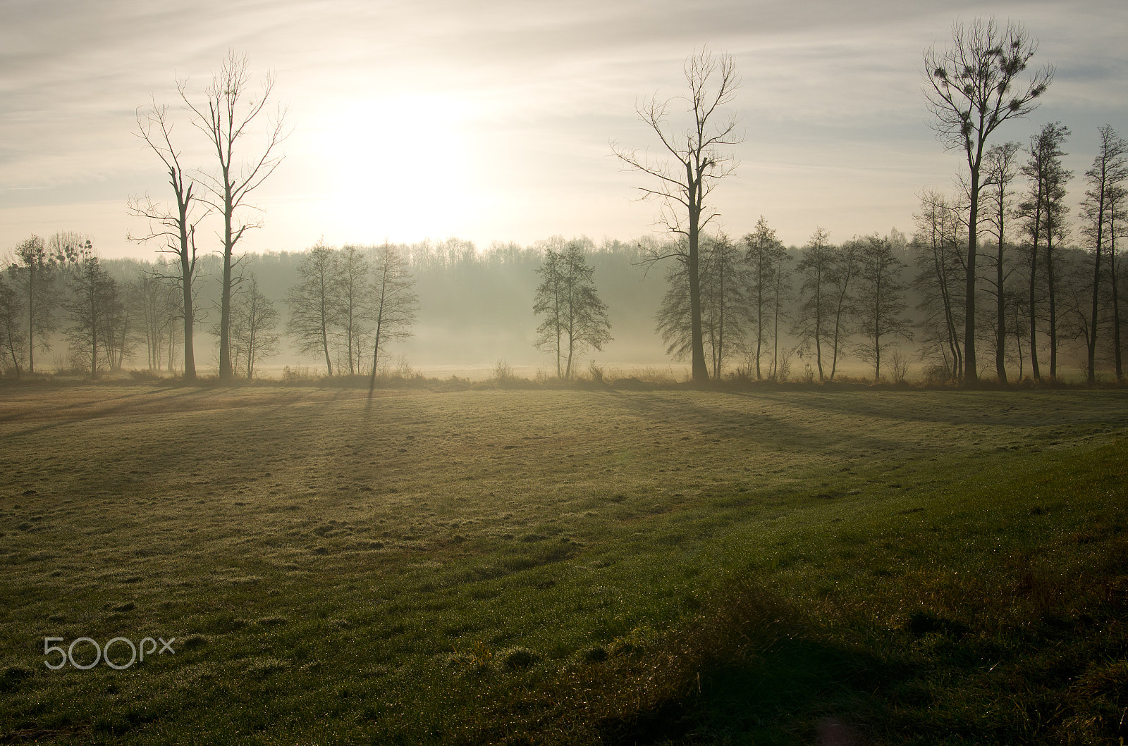 Pentax K-5 IIs sample photo. Misty field photography