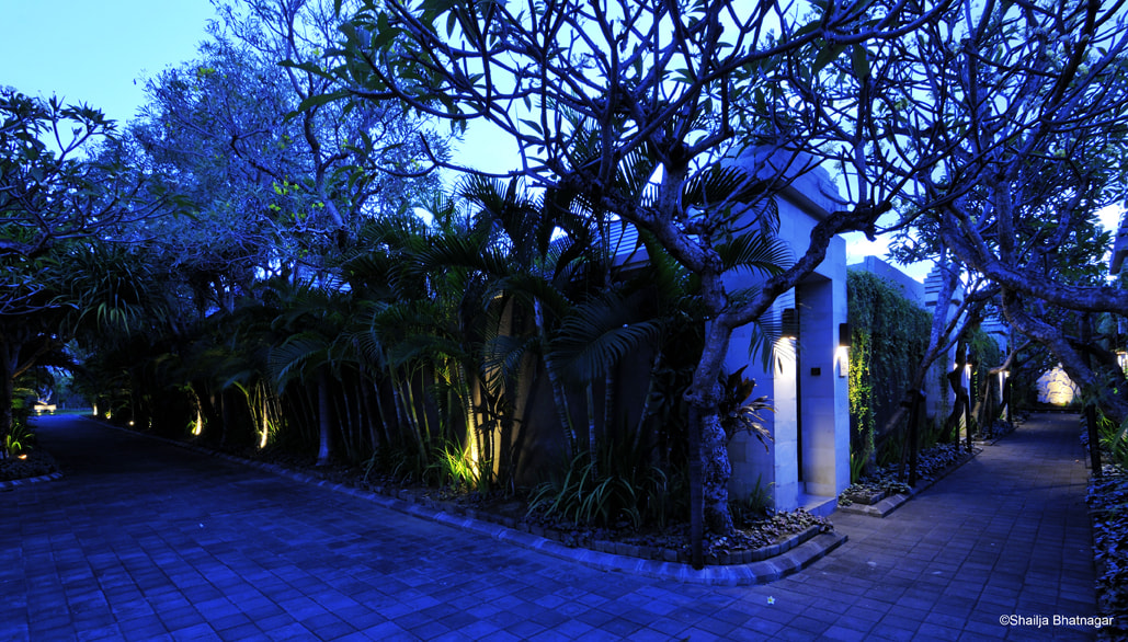 Nikon D300S sample photo. Architecture photography done by shailja bhatnagar photography