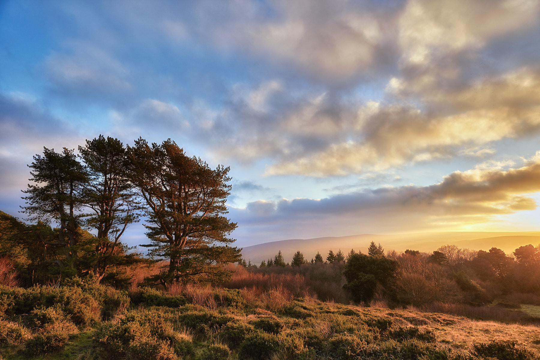 Nikon AF-S NIKKOR 17-35mm f/2.8 ED sample photo. Selworthy hill photography