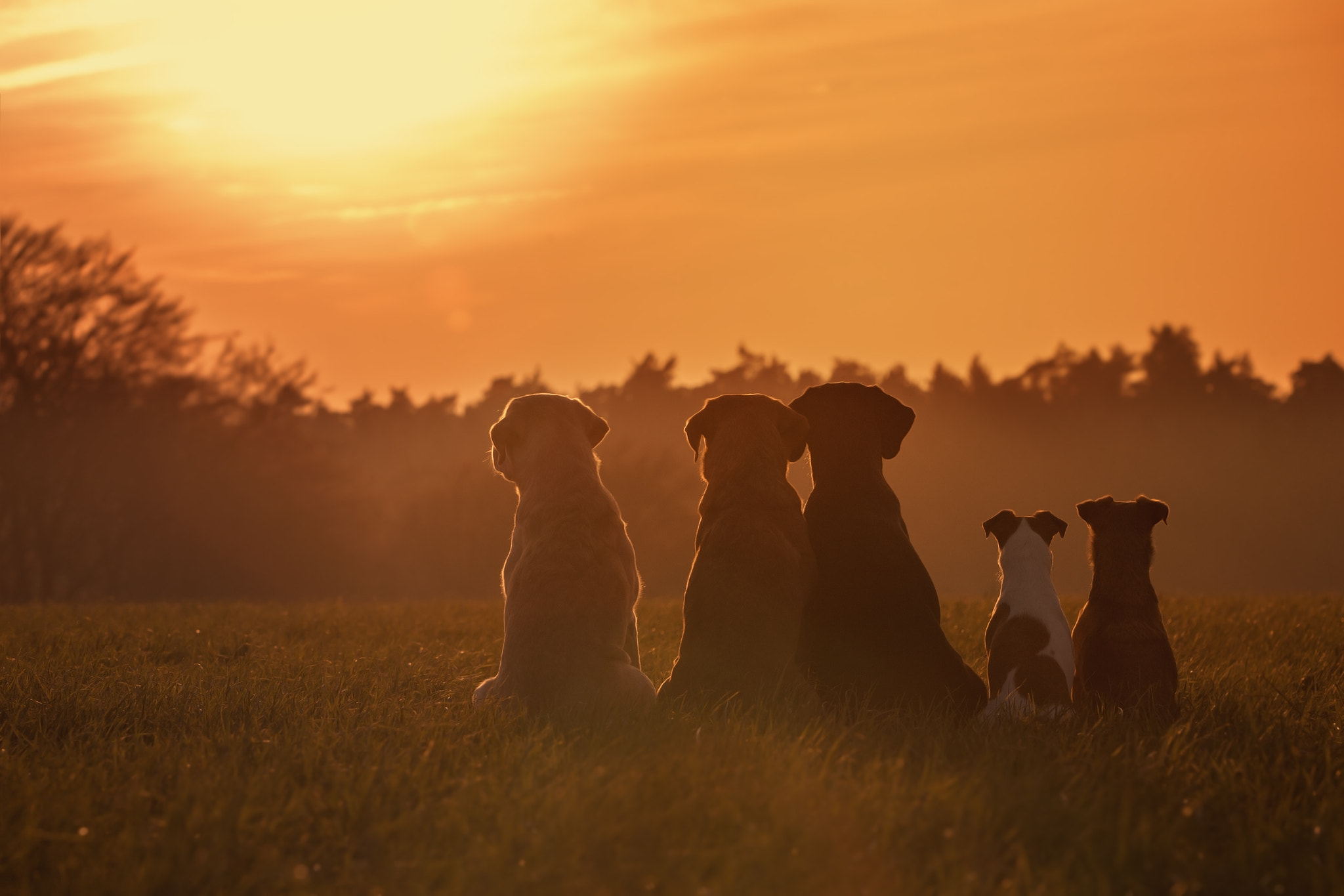 Canon EF 70-200mm F2.8L USM sample photo. Sunset photography