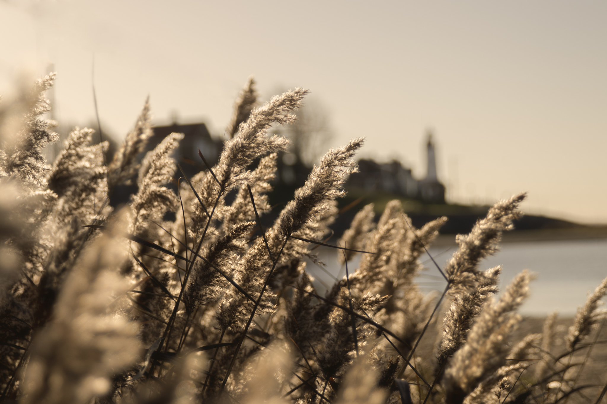 Canon EOS 80D + Sigma 24-70mm F2.8 EX DG Macro sample photo. View on urk photography