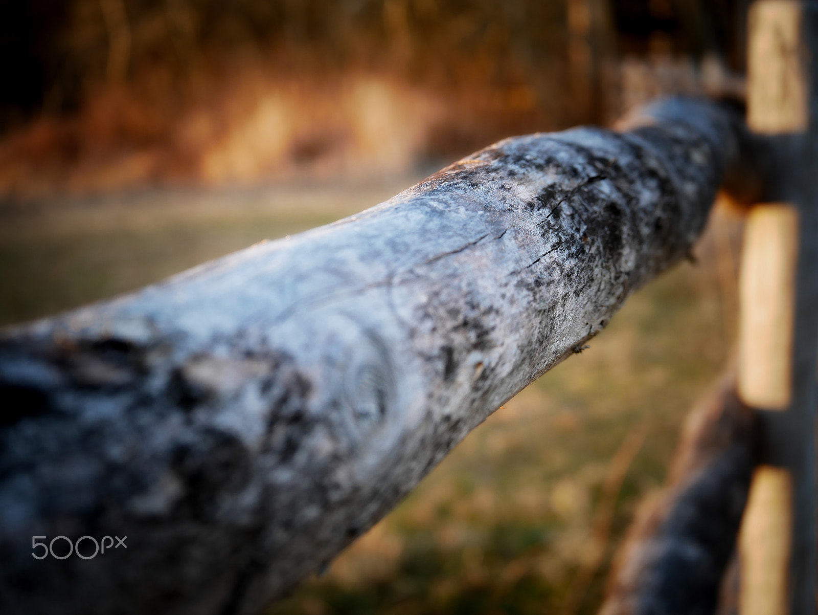 LUMIX G VARIO 35-100/F4.0-5.6 sample photo. Fence detail photography