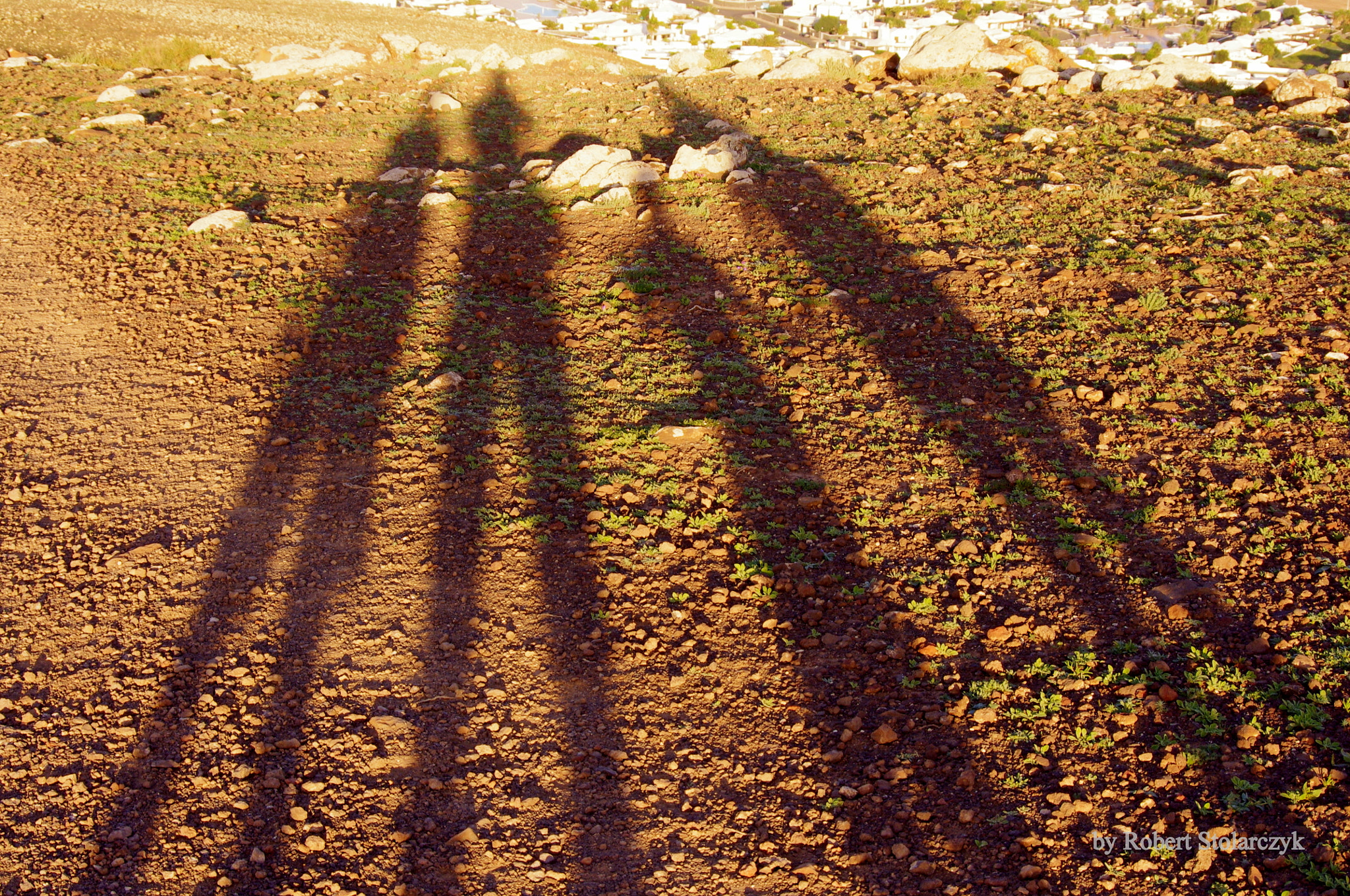 smc PENTAX-DA L 50-200mm F4-5.6 ED sample photo. A shadow selfie photography