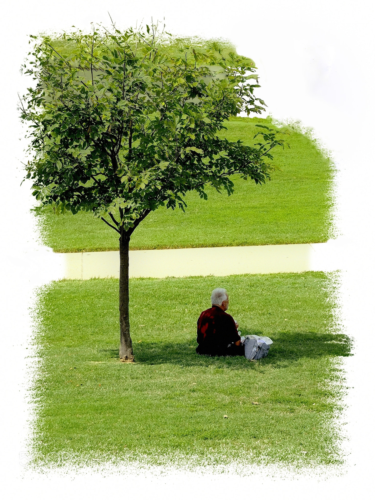 Nikon D5000 sample photo. Around me photography