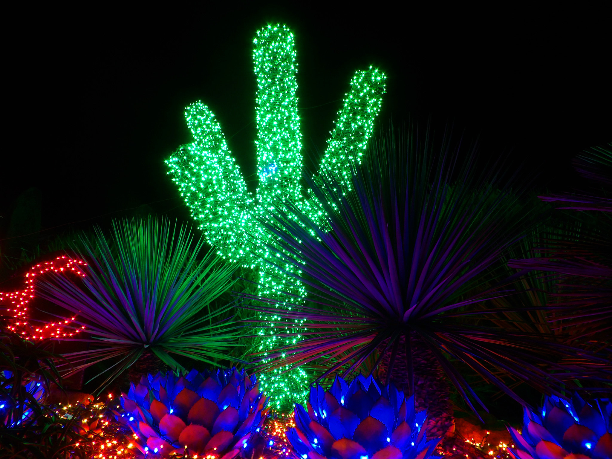 Kodak PIXPRO AZ521 sample photo. Zoo lights photography