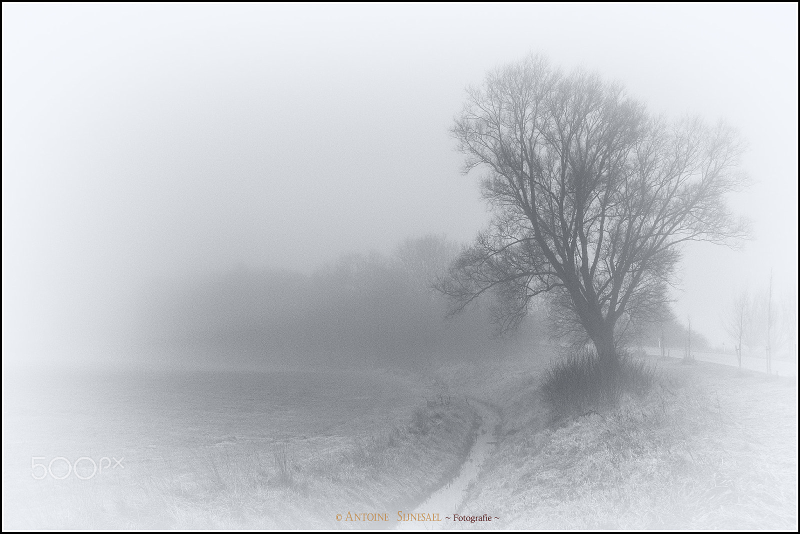 Nikon D300S sample photo. Mist in middelburg photography