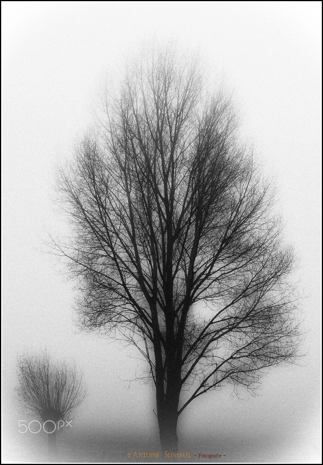 Nikon D300S sample photo. Mist in middelburg photography