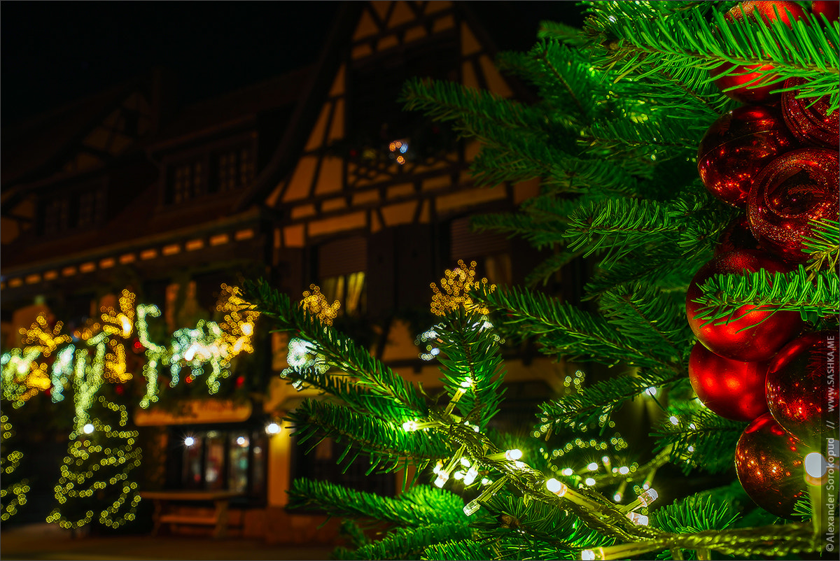 Sony a7S II + Sony Vario-Tessar T* FE 16-35mm F4 ZA OSS sample photo. Outdoor christmas decoration in strasbourg, france photography