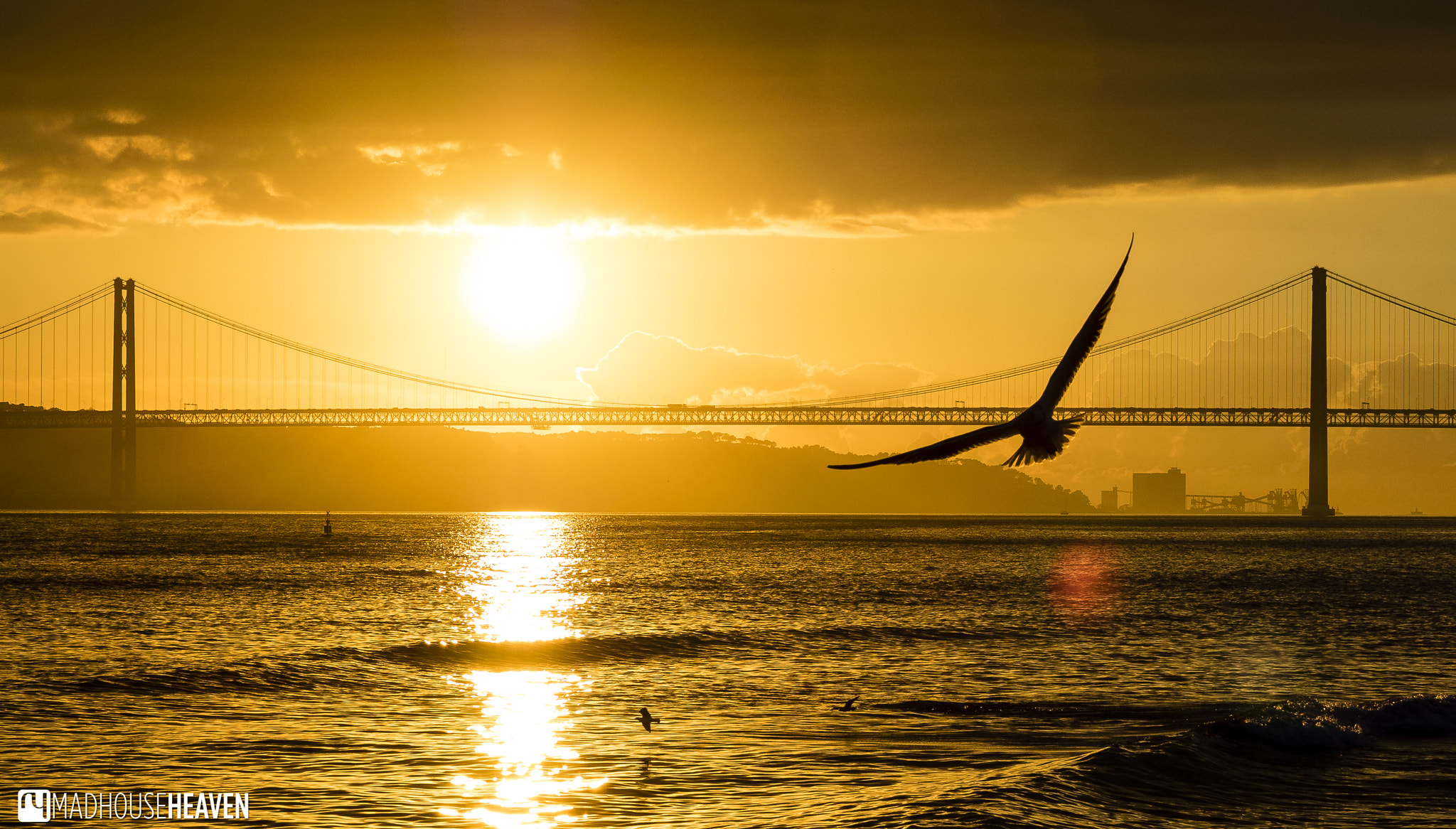 Olympus OM-D E-M1 + Olympus M.Zuiko Digital ED 12-100mm F4.0 IS Pro sample photo. Sunset, water, bridge, birds... cliché, but i like it :) photography