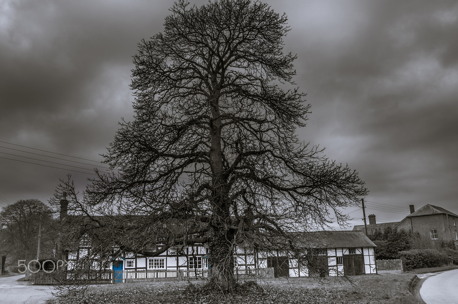 Nikon D500 sample photo. Tree house photography