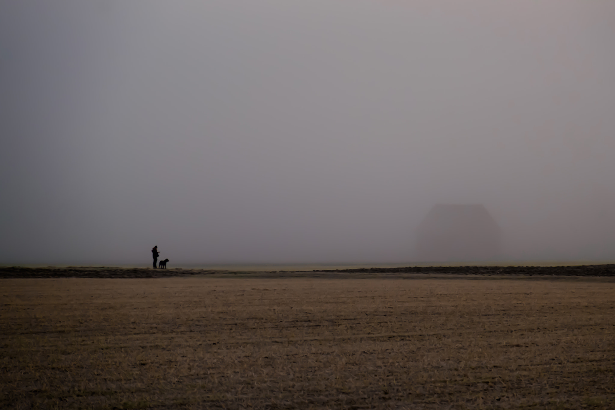 Fujifilm X-E2 + Fujifilm XF 18-135mm F3.5-5.6 R LM OIS WR sample photo. Misty walk with a dog photography