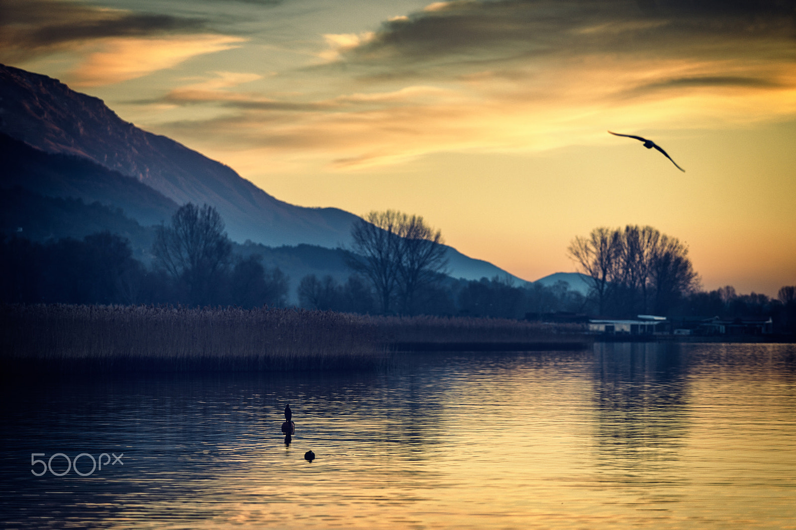 Sony a99 II + Minolta/Sony AF 70-200mm F2.8 G sample photo. Serenity... photography