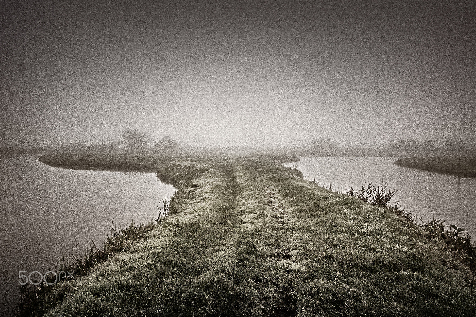 Nikon AF-S Nikkor 14-24mm F2.8G ED sample photo. Cold and foggy photography