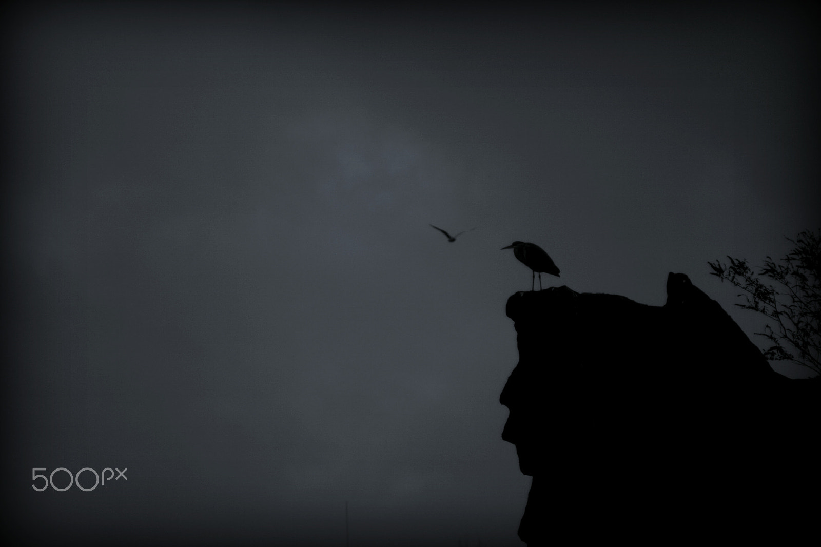 Canon EOS 400D (EOS Digital Rebel XTi / EOS Kiss Digital X) sample photo. ...two birds and a man... photography