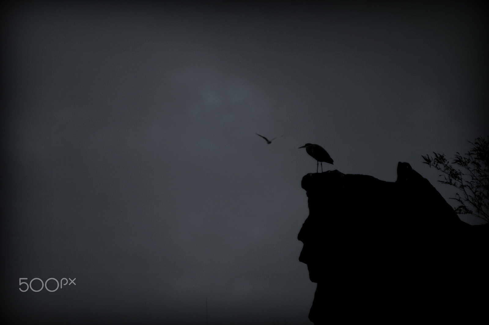 Canon EF 35-80mm f/4-5.6 sample photo. ...two birds and a man... photography