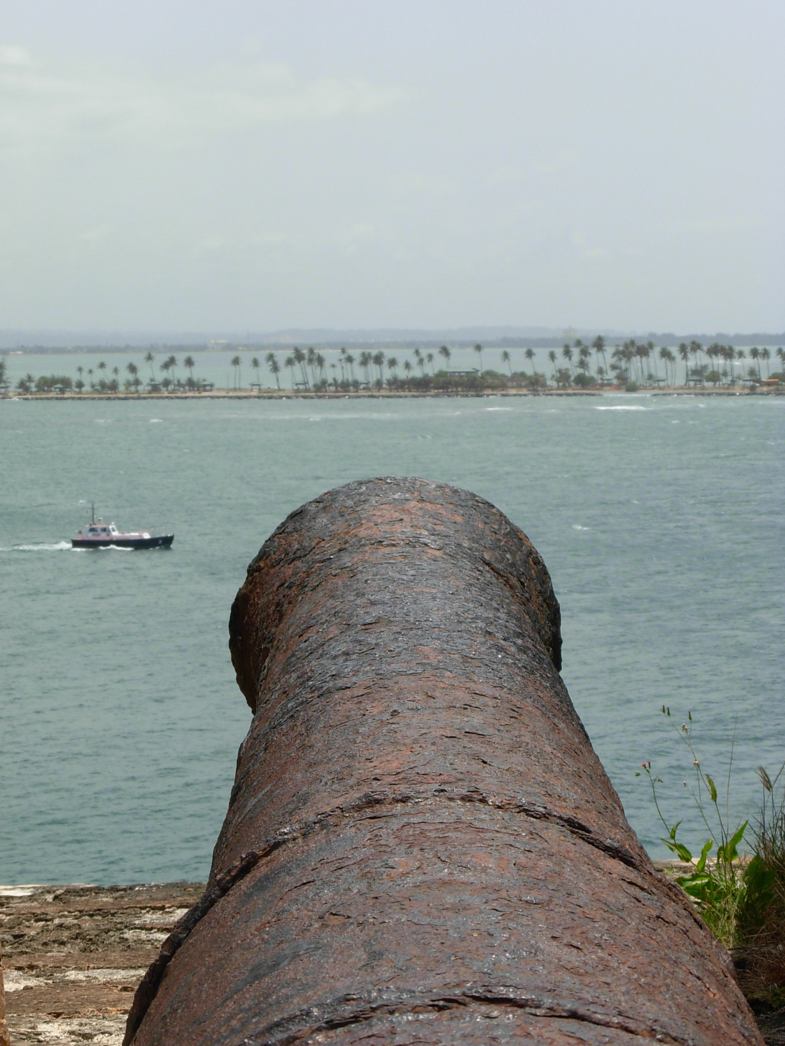 Nikon COOLPIX L5 sample photo. Guarding castillo san felipe del morro, san  photography