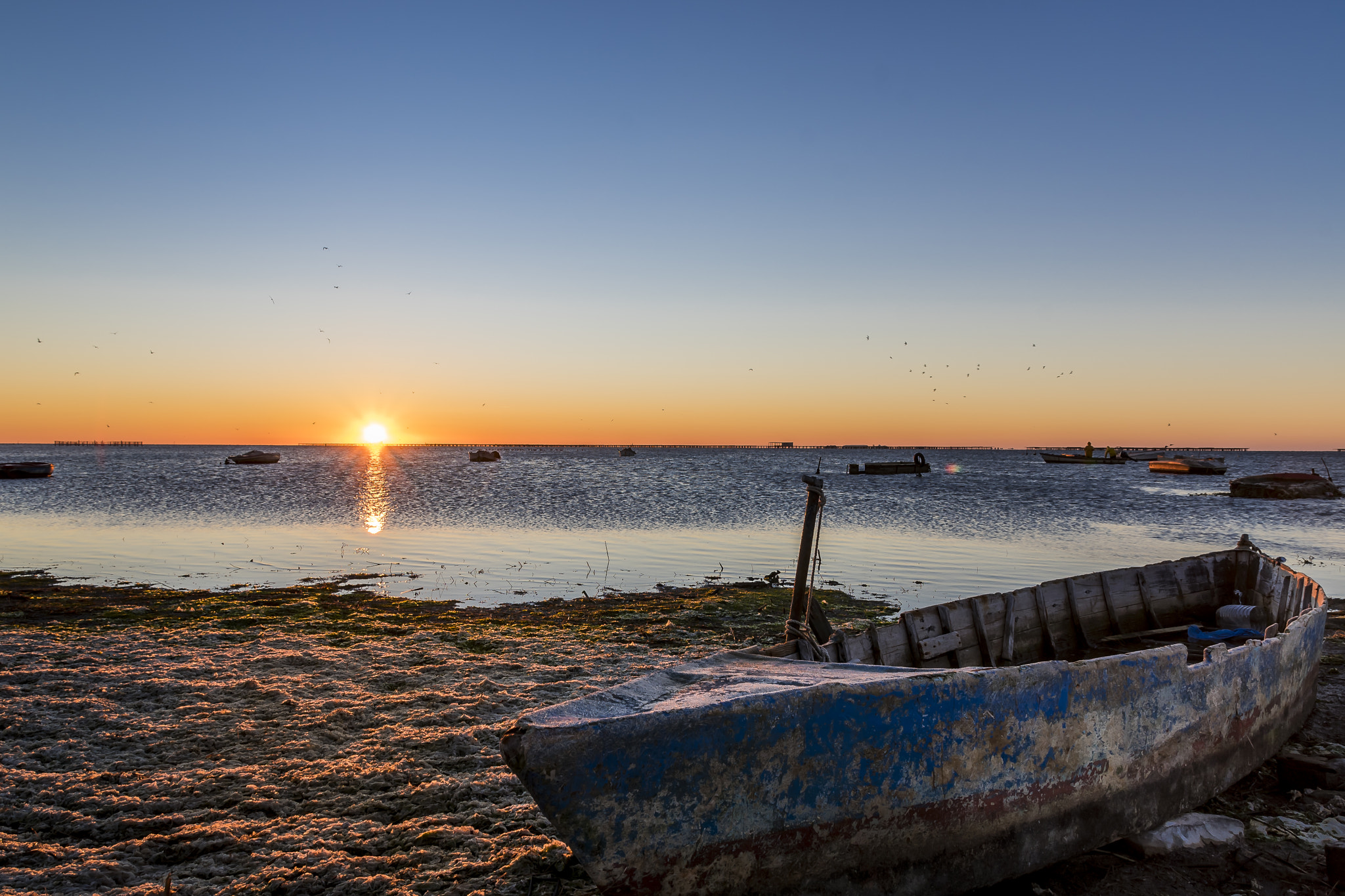 Sigma 17-70mm F2.8-4 DC Macro OS HSM | C sample photo. Paisajes del delta del ebro photography