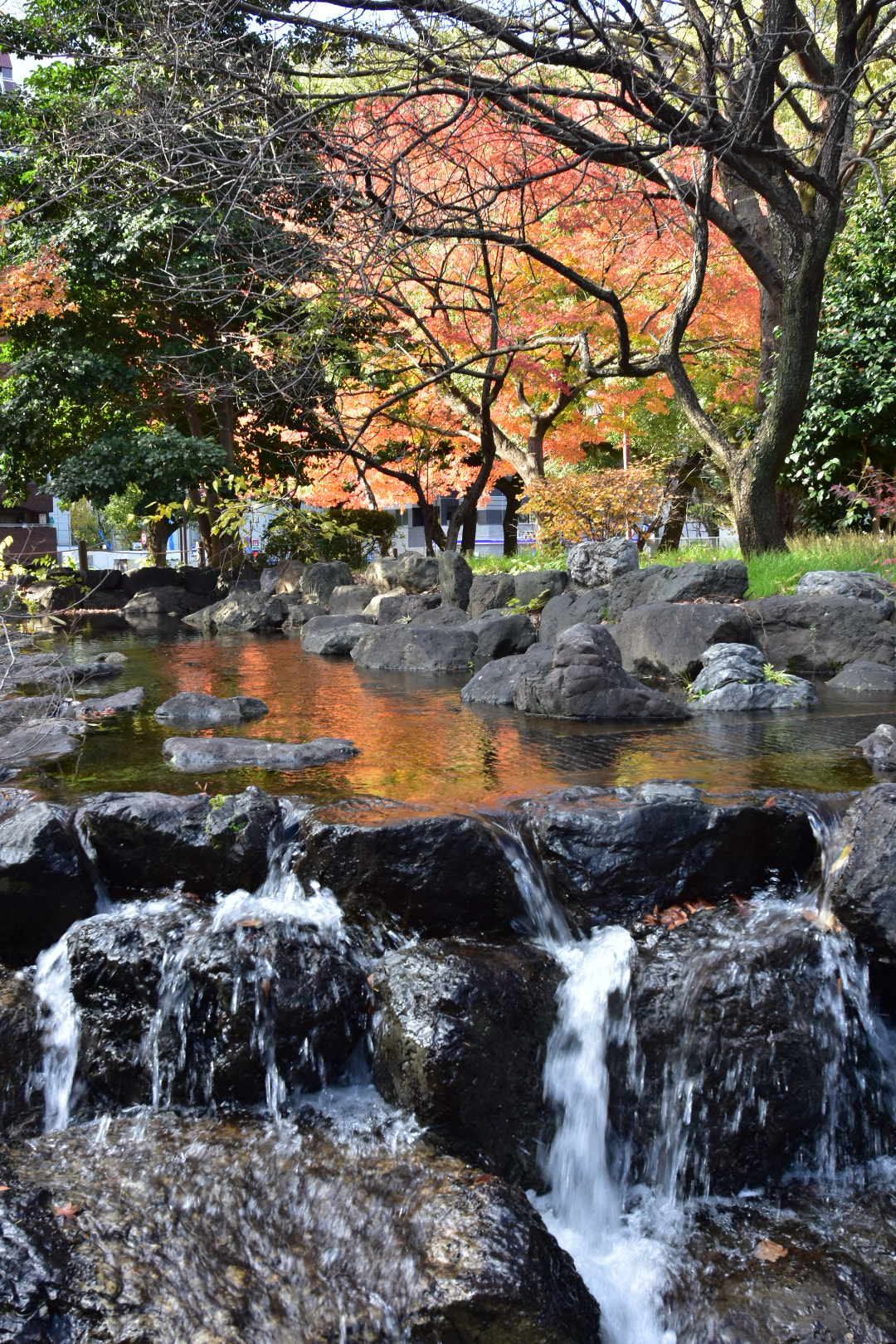 Nikon AF-S Nikkor 14-24mm F2.8G ED sample photo. Untitled photography
