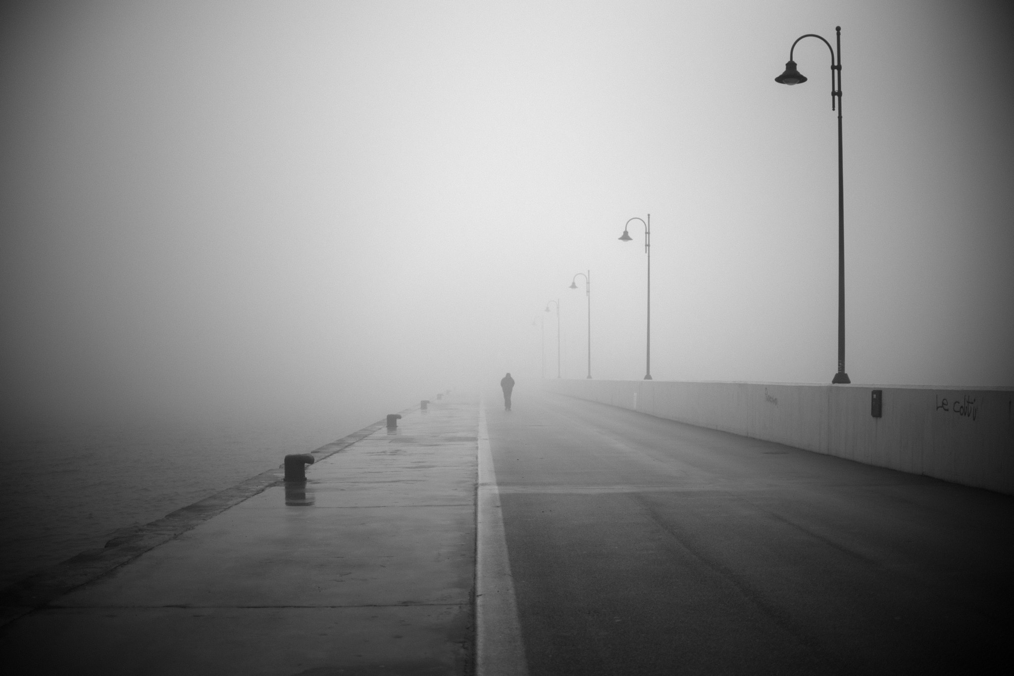 Nikon D750 + Nikon AF-S DX Nikkor 35mm F1.8G sample photo. Man fog photography