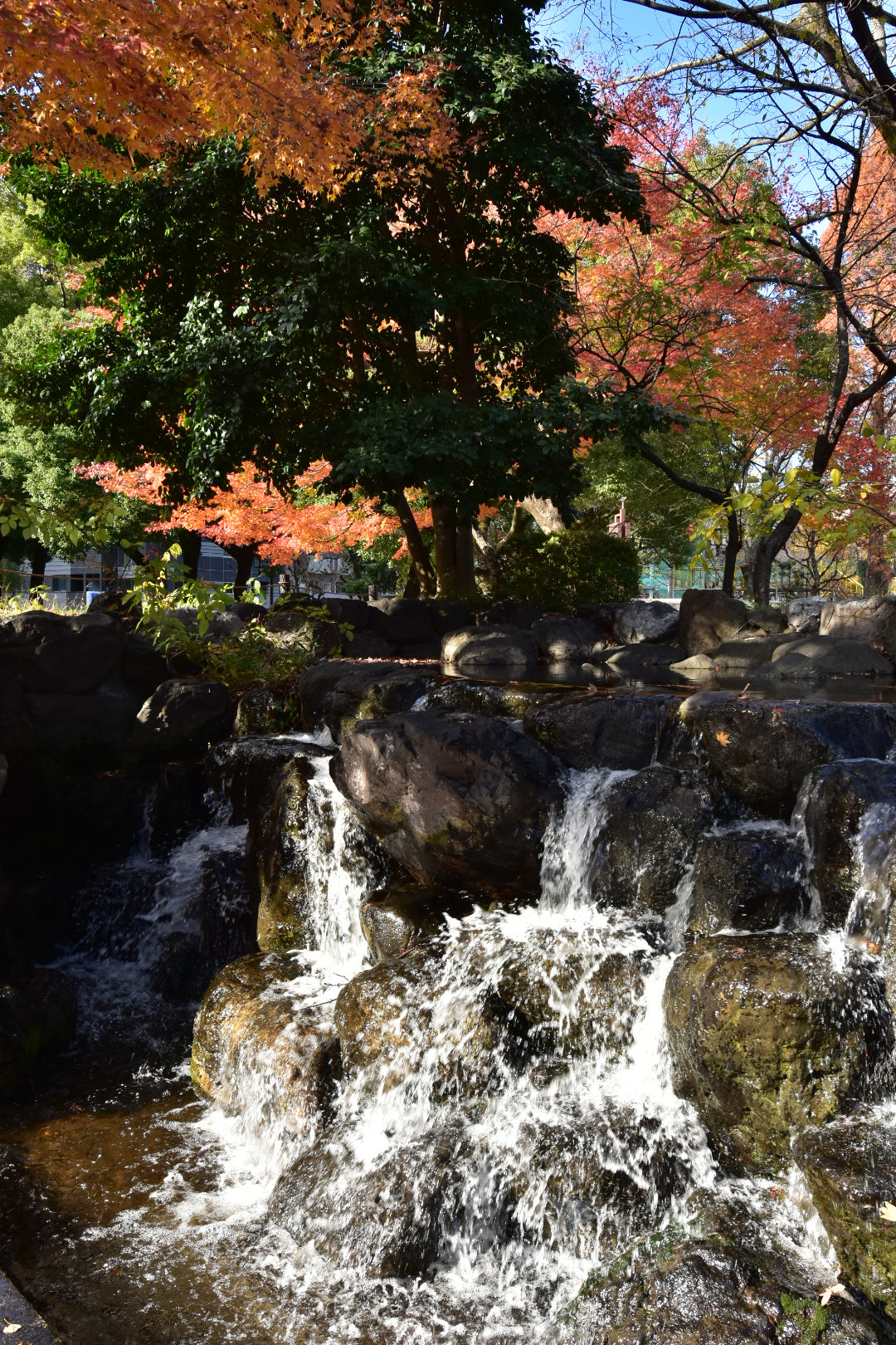 Nikon AF-S Nikkor 14-24mm F2.8G ED sample photo. Untitled photography