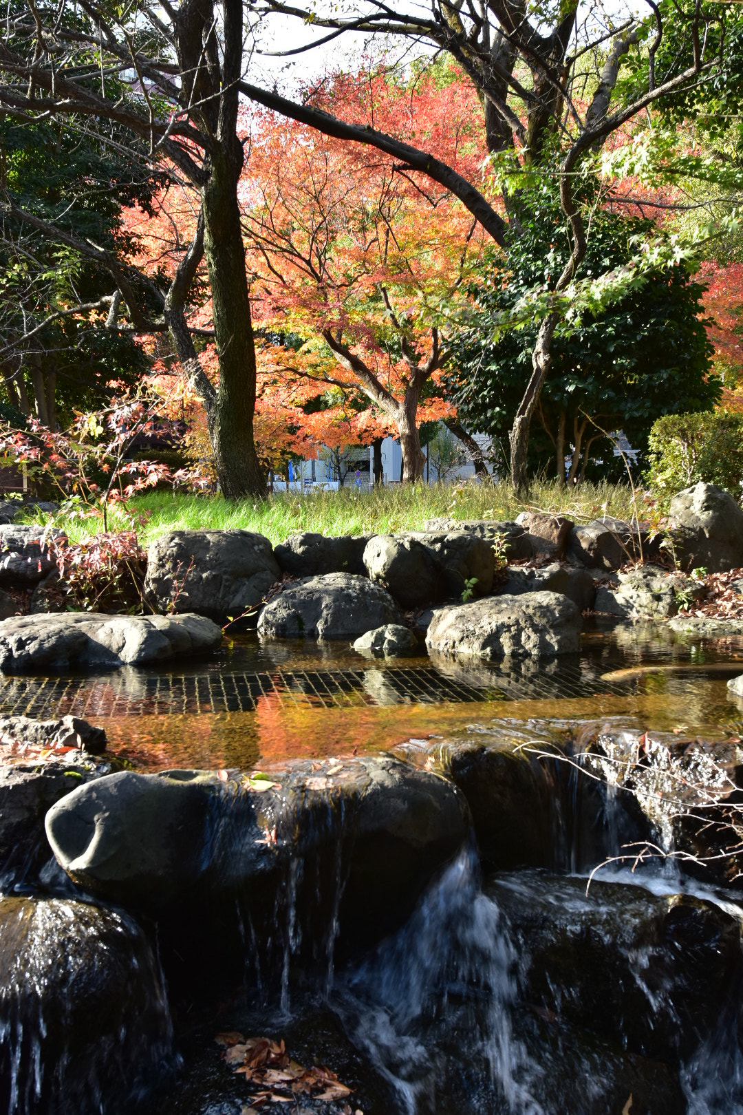 Nikon AF-S Nikkor 14-24mm F2.8G ED sample photo. Untitled photography