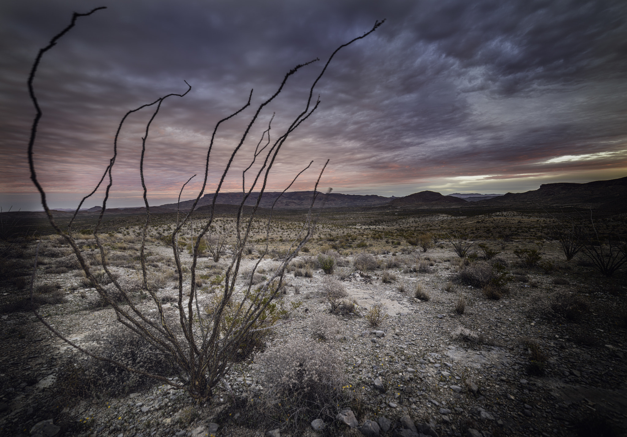 Samyang 14mm F2.8 ED AS IF UMC sample photo. Sunrise near big bend photography