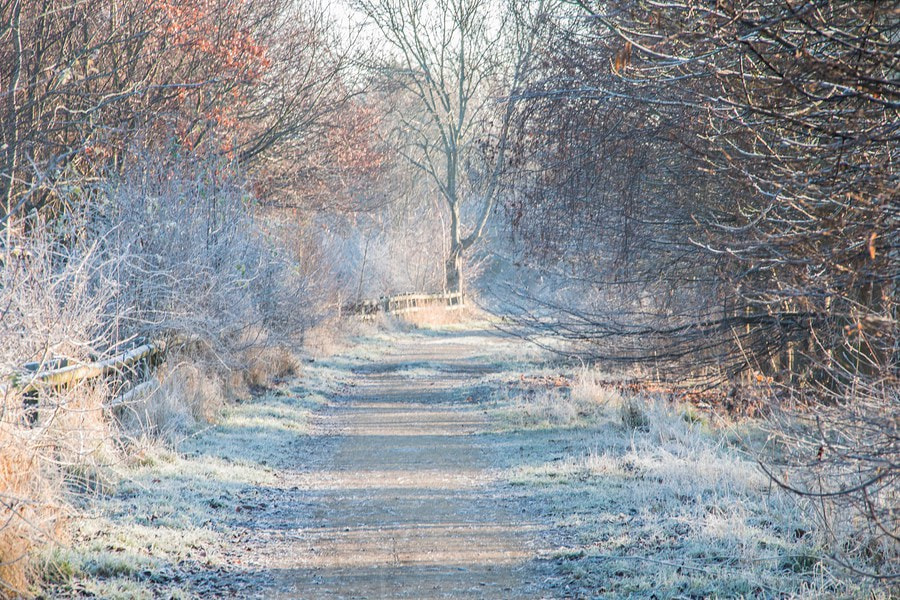 Sigma 18-200mm f/3.5-6.3 DC OS sample photo. Winter track photography