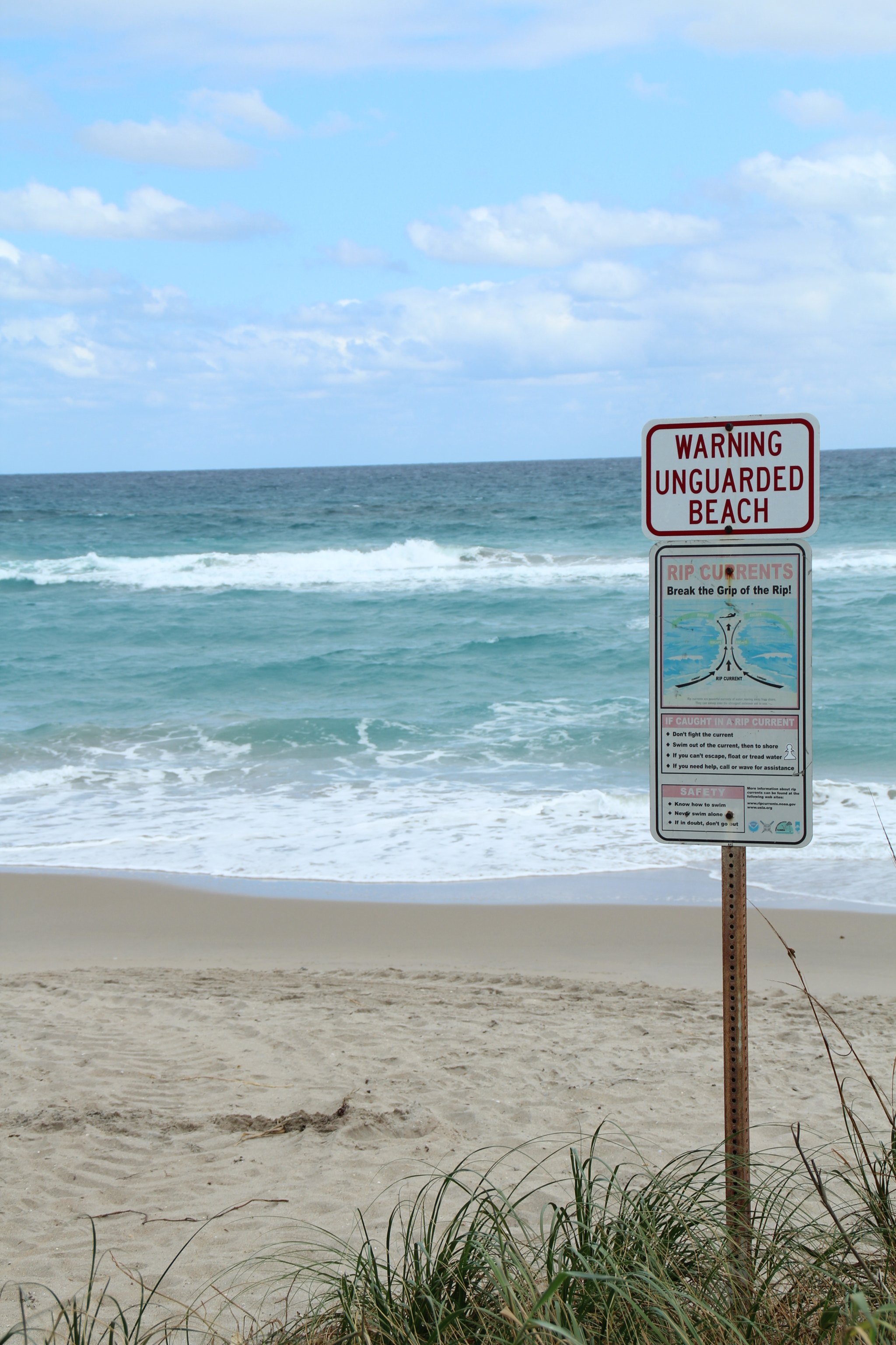 Canon EOS 600D (Rebel EOS T3i / EOS Kiss X5) sample photo. West palm beach, fl: october 2016 photography
