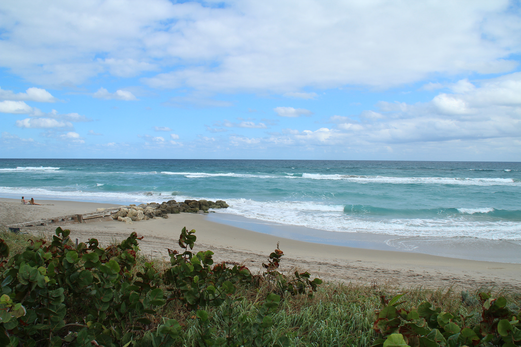 Canon EOS 600D (Rebel EOS T3i / EOS Kiss X5) sample photo. West palm beach, fl: october 2016 photography