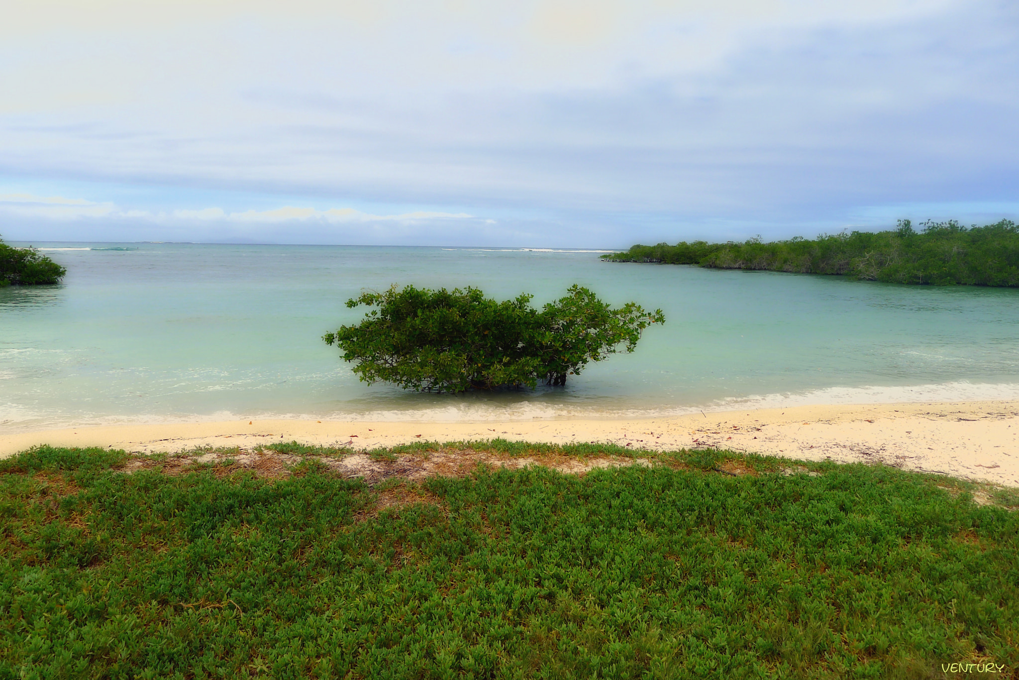 Leica D-LUX 5 sample photo. Beaches of the island of sta.cruz photography