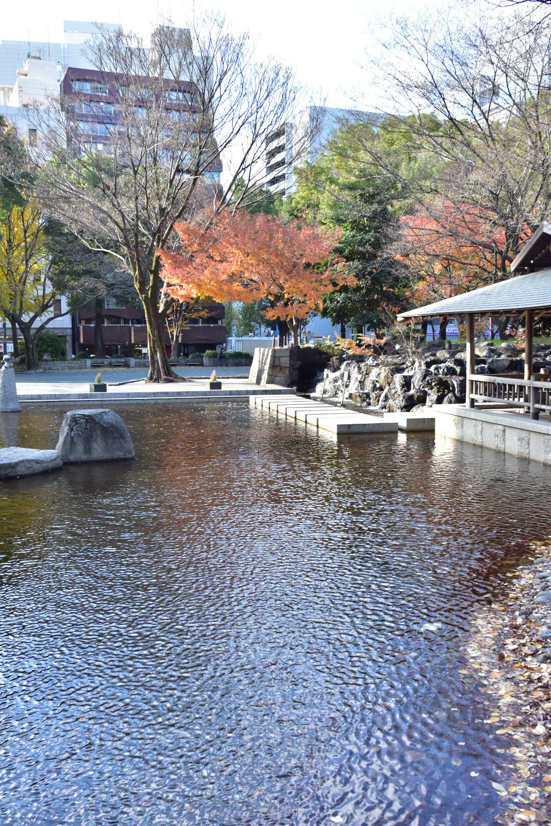 Nikon AF-S Nikkor 14-24mm F2.8G ED sample photo. Untitled photography