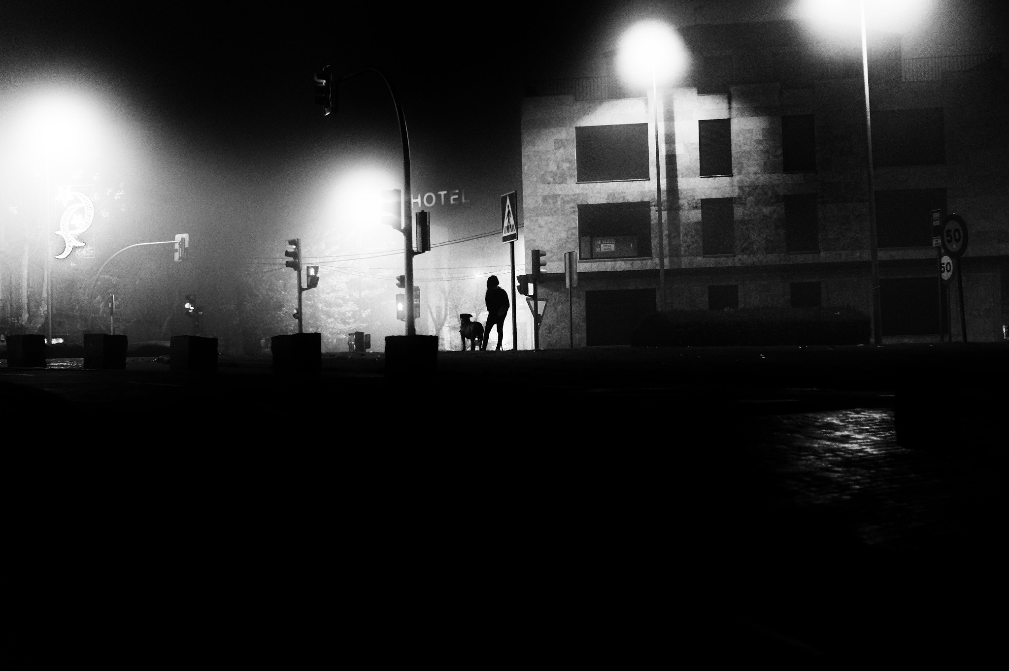 Sony SLT-A58 + Sony DT 50mm F1.8 SAM sample photo. Man,dog,fog,the hotel,.............the night. photography