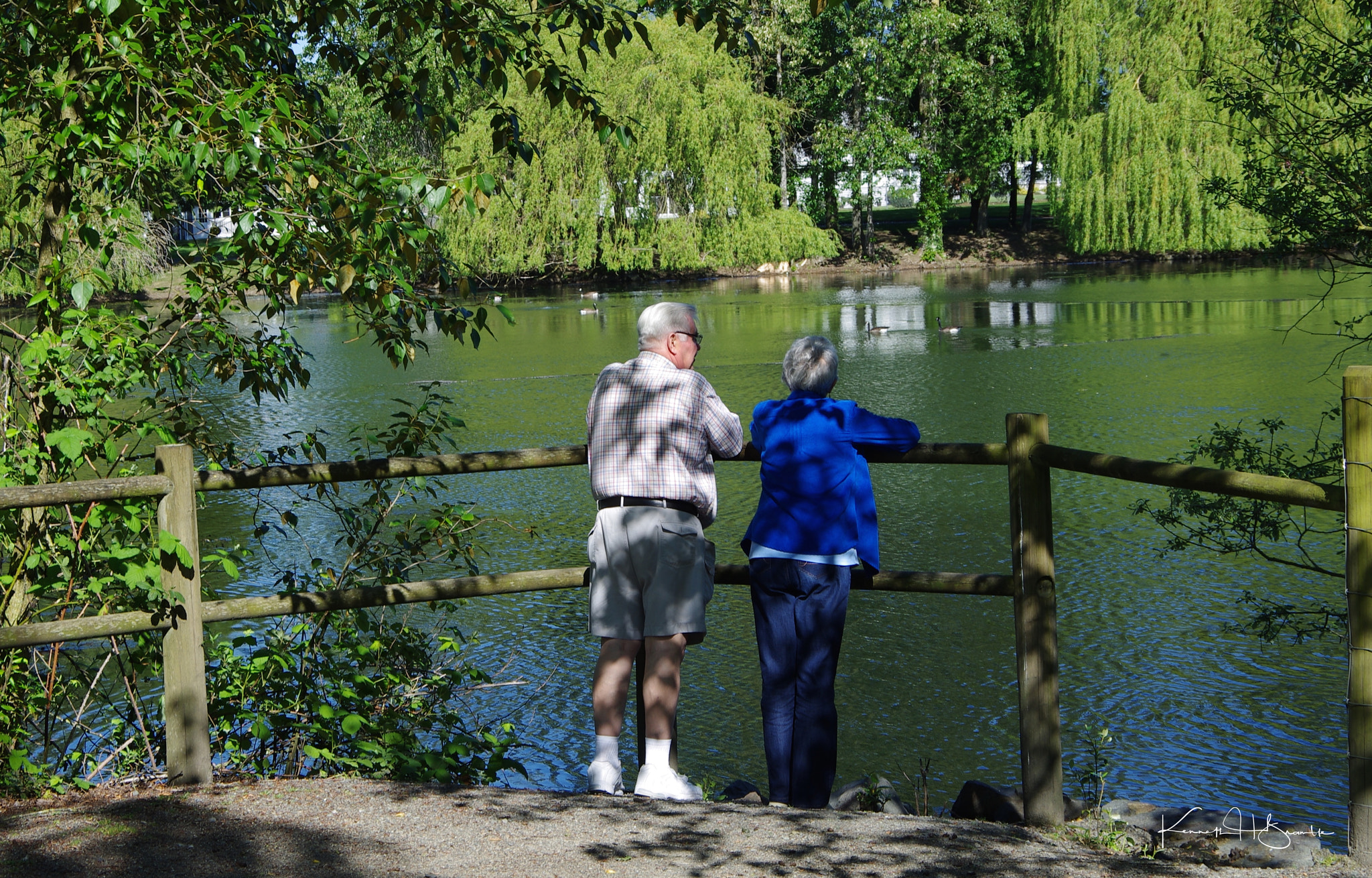 Pentax K-5 IIs sample photo. In the park photography