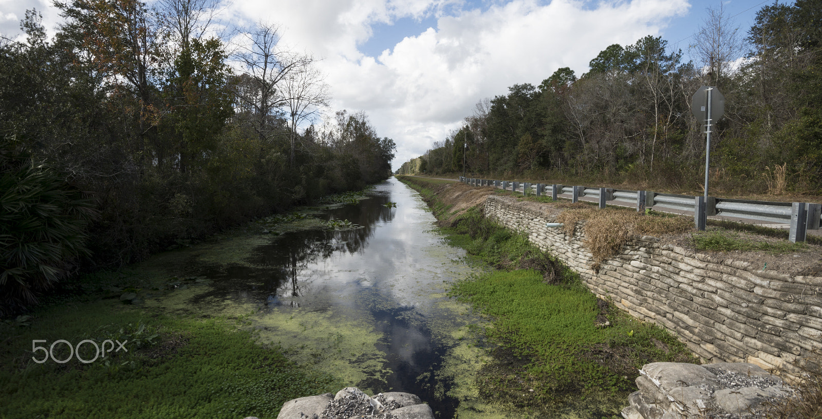 Nikon Df sample photo. Flagler estates photography