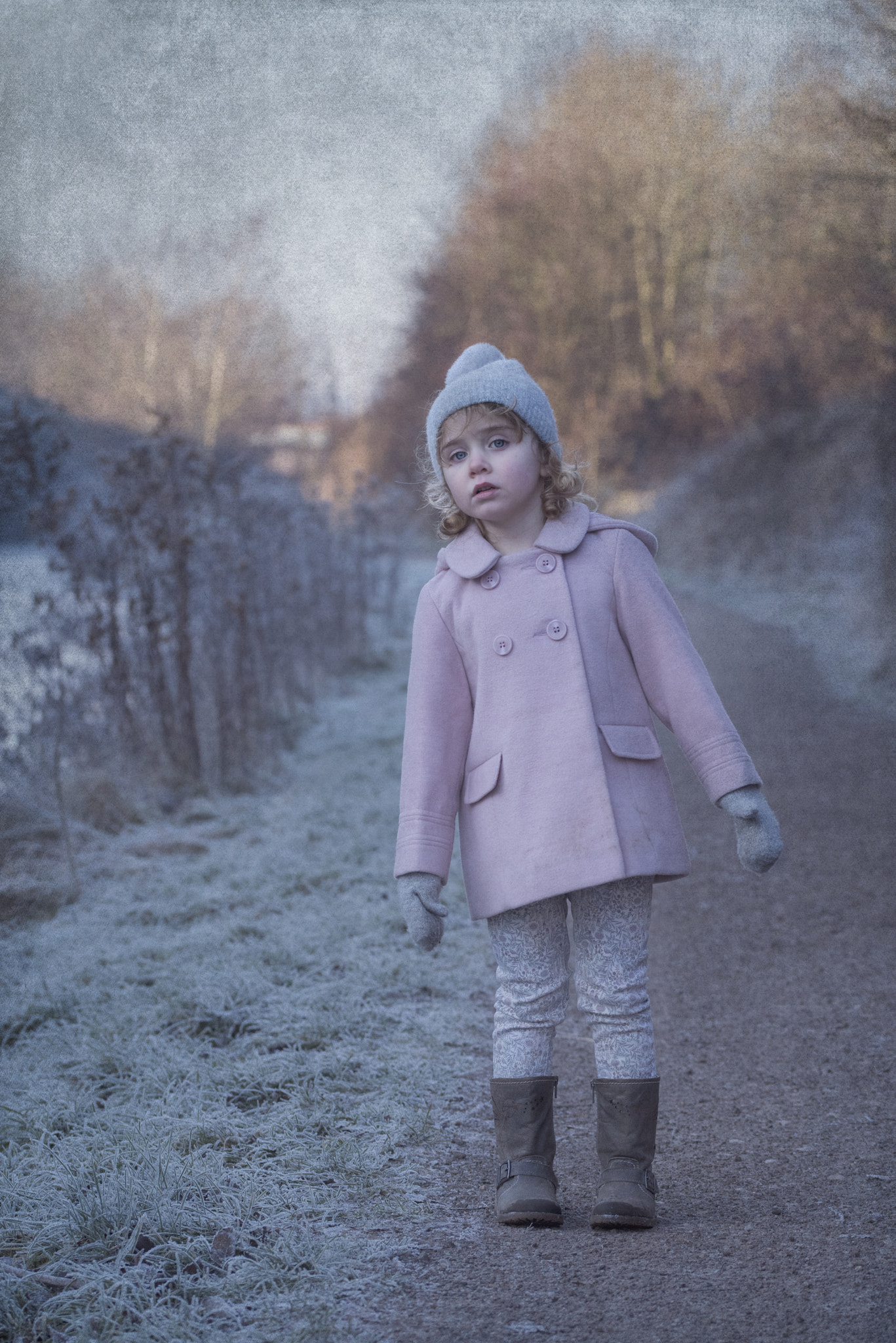 Sigma 105mm F2.8 EX DG OS HSM sample photo. A frosty day photography