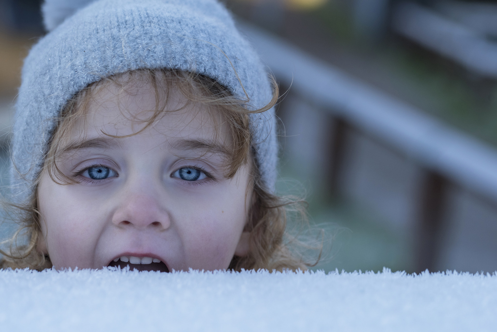 Sigma 105mm F2.8 EX DG OS HSM sample photo. Eating frost photography
