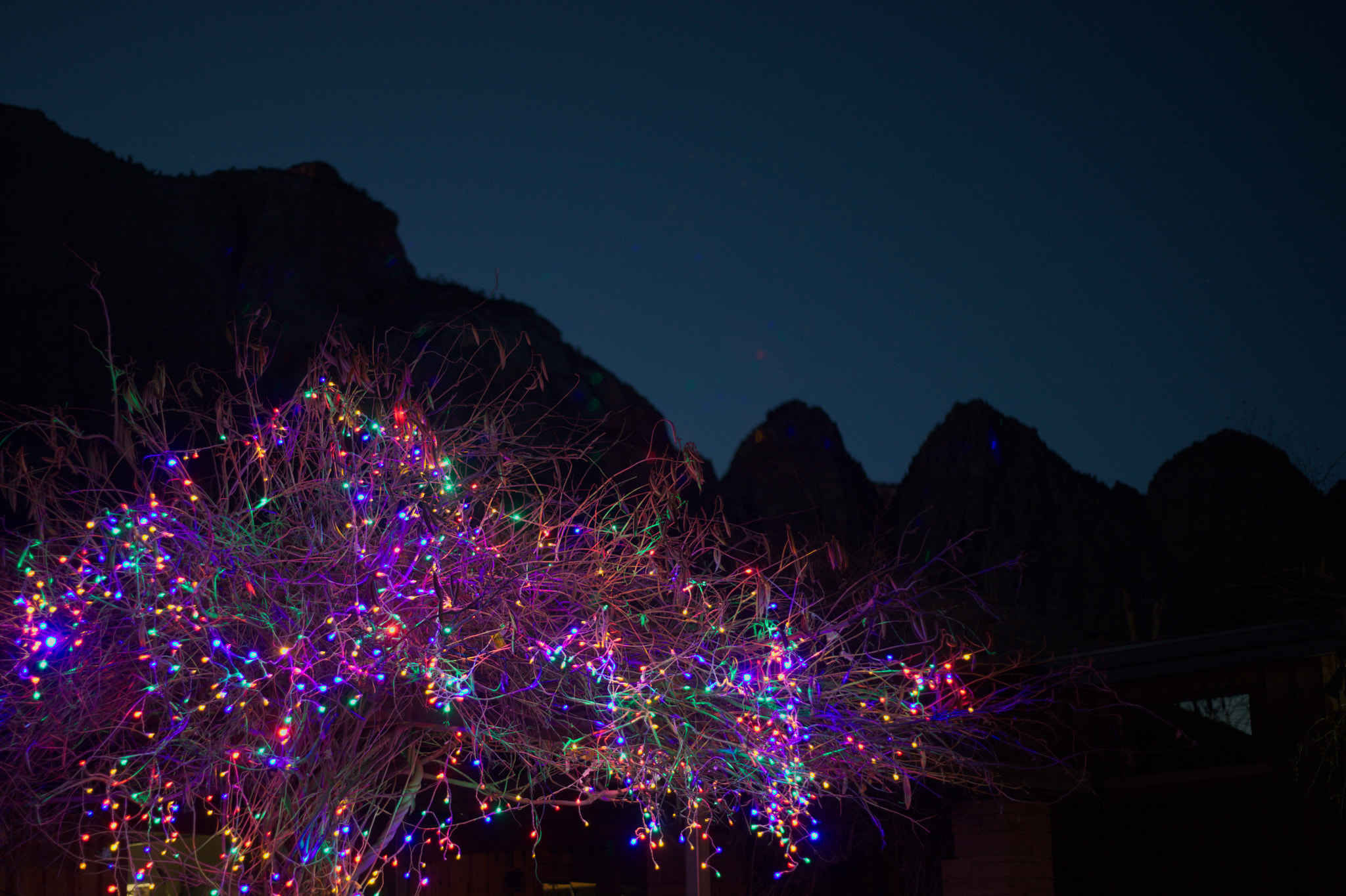 Canon EOS 5DS R + Canon EF 50mm F1.8 STM sample photo. Christmas lights in zion photography