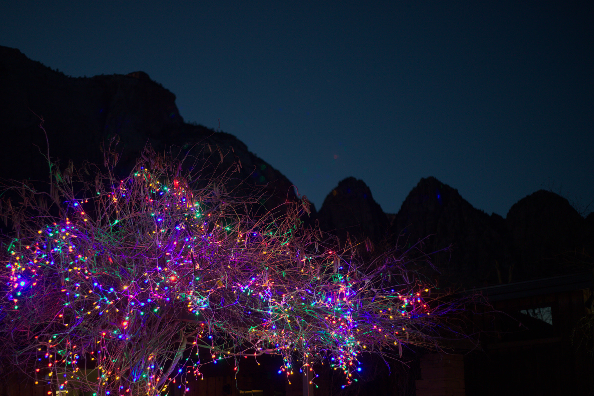 Canon EOS 5DS R sample photo. Christmas lights in zion photography