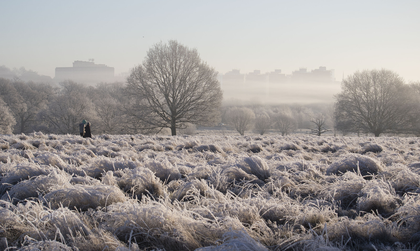 Canon EF-S 55-250mm F4-5.6 IS sample photo. Winter wonderland in the park photography