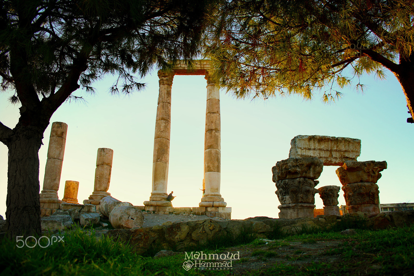 Canon EF-S 18-55mm F3.5-5.6 III sample photo. Amman jordan photography
