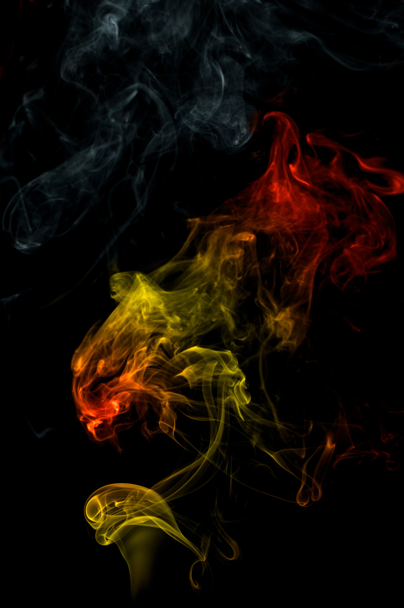 Nikon D300S sample photo. Dragon photography