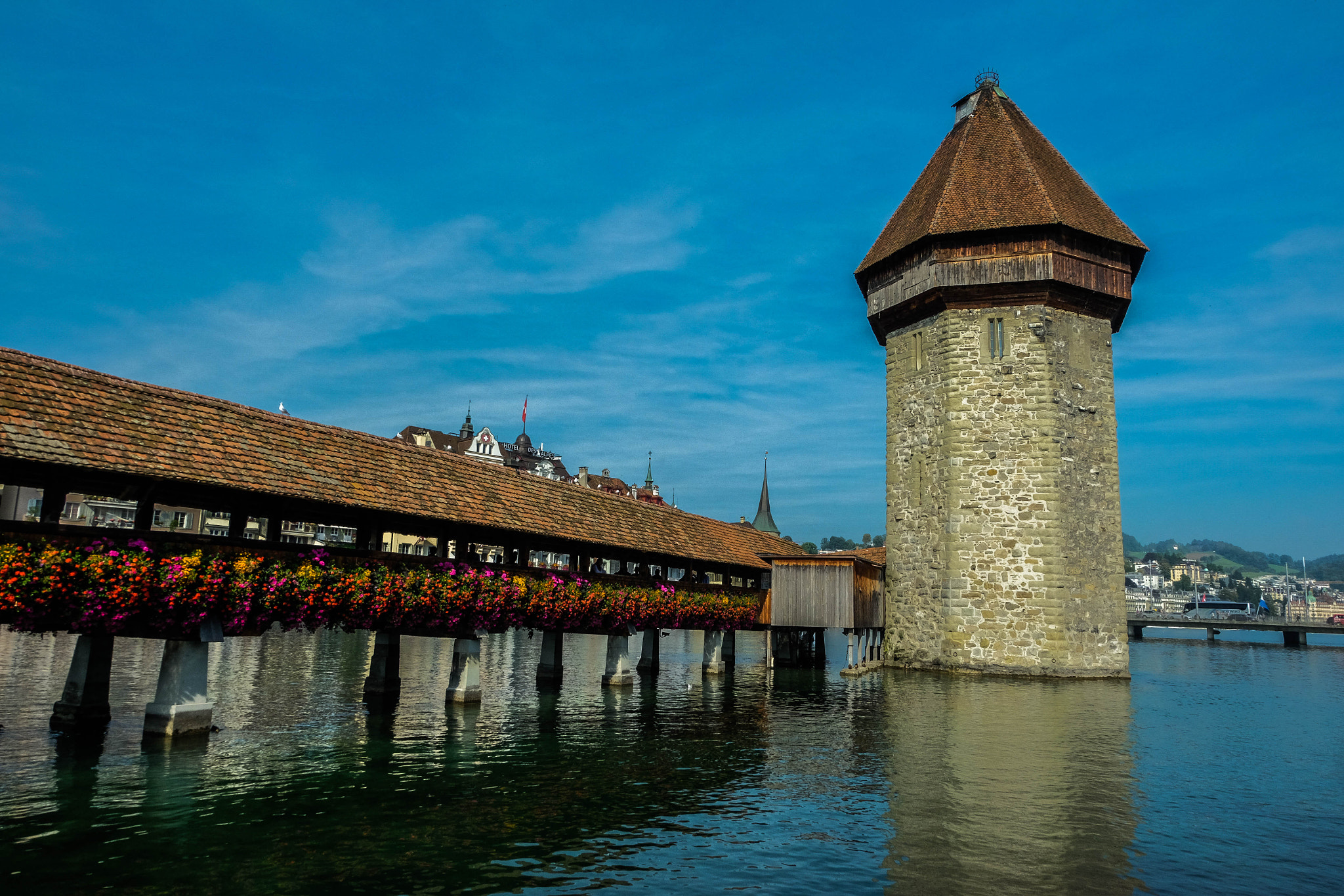 Fujifilm X-T1 + Fujifilm XC 16-50mm F3.5-5.6 OIS II sample photo. Lucerne flower bridge.  photography